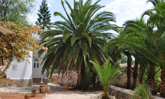 Casa Isabel