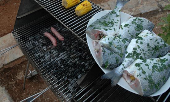 BBQ Dorade